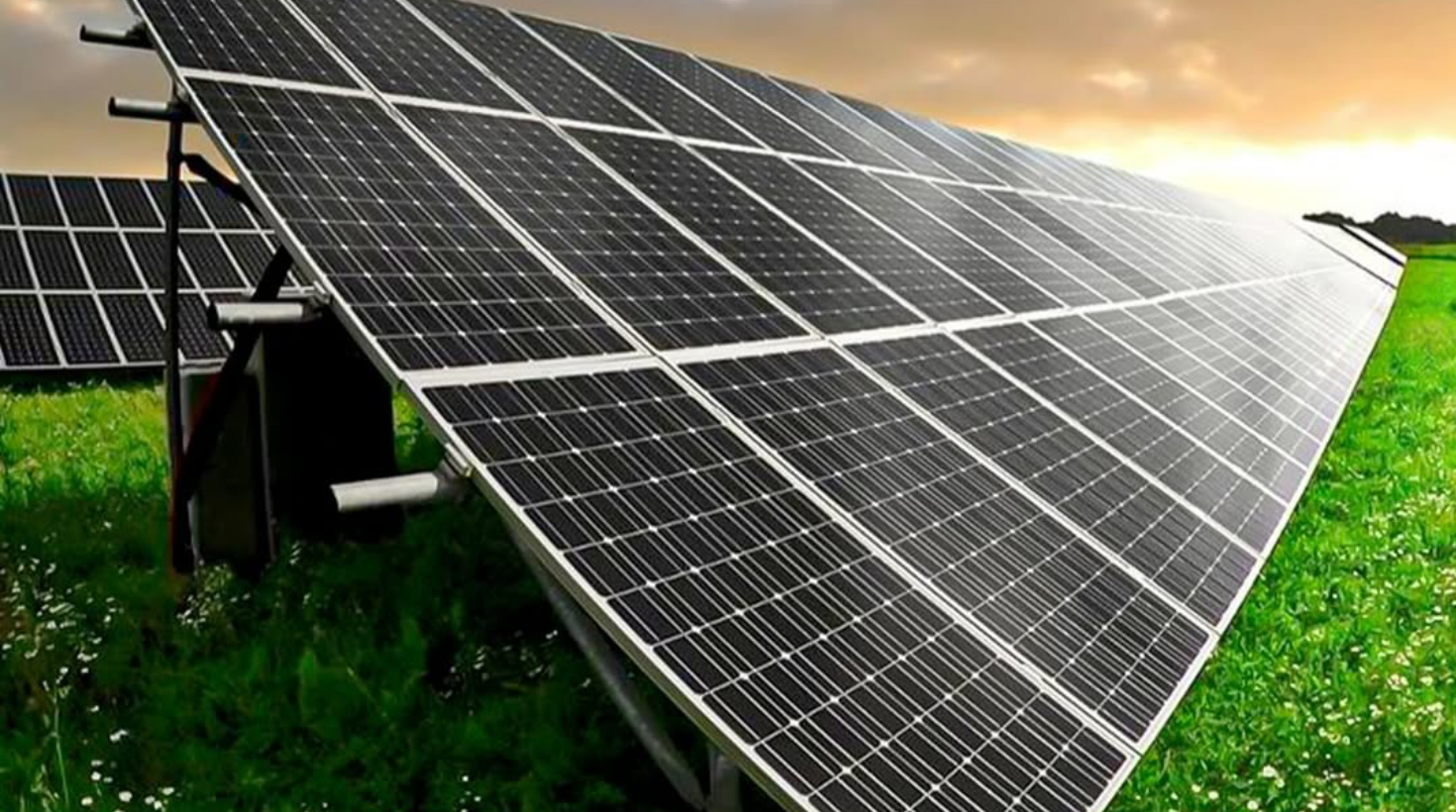 MSC Plus s'engage pour le développement durable